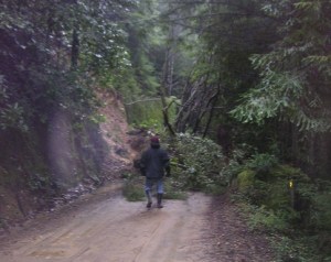 MINOLTA DIGITAL CAMERA